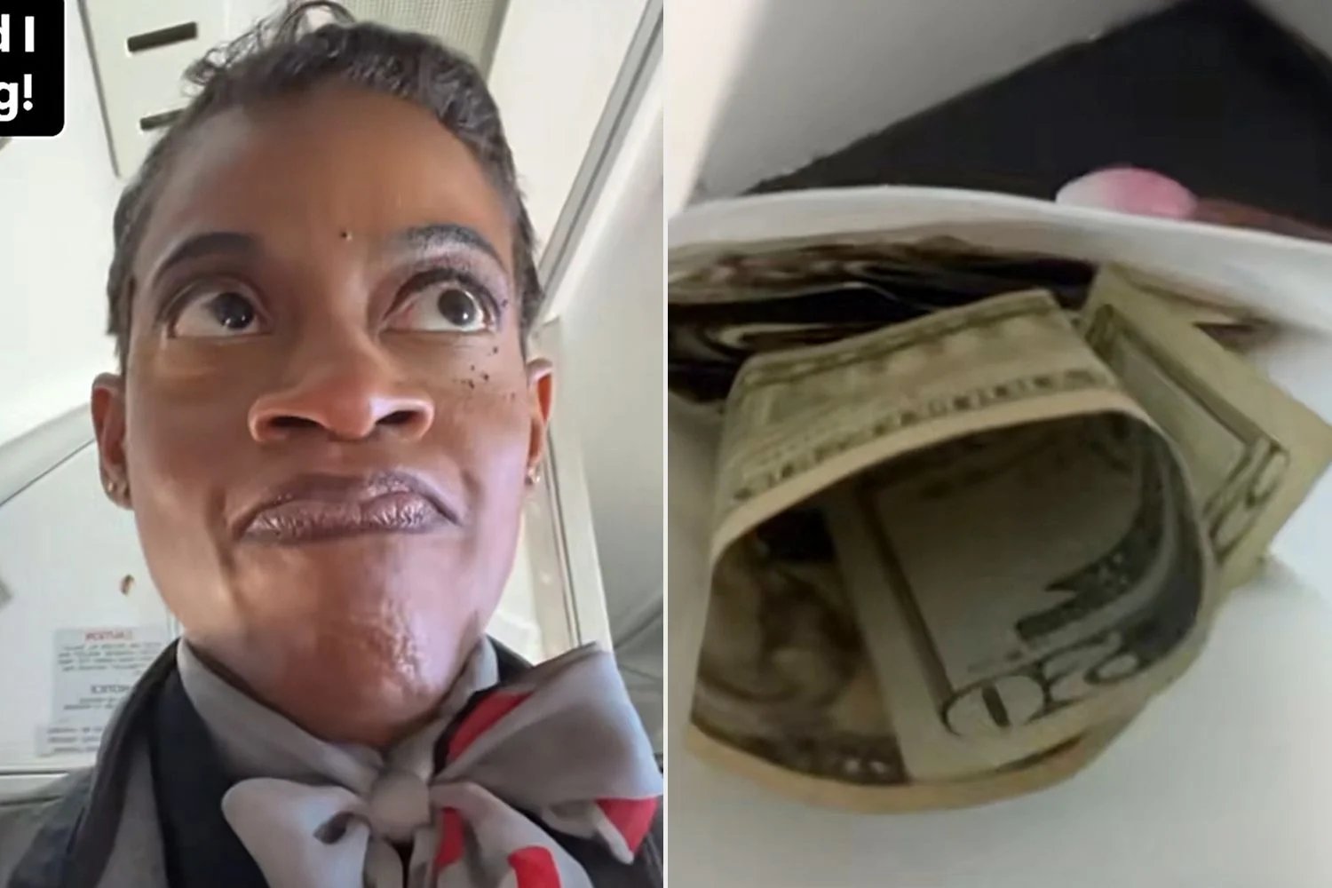 Passenger Caught Handing Flight Attendant Barf Bag with Cash Inside While Mid-Flight Exclusive Passenger Caught Handing Flight Attendant Barf Bag with Cash Inside While Mid-Flight Exclusive